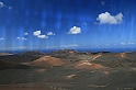 Kanary_2010 131